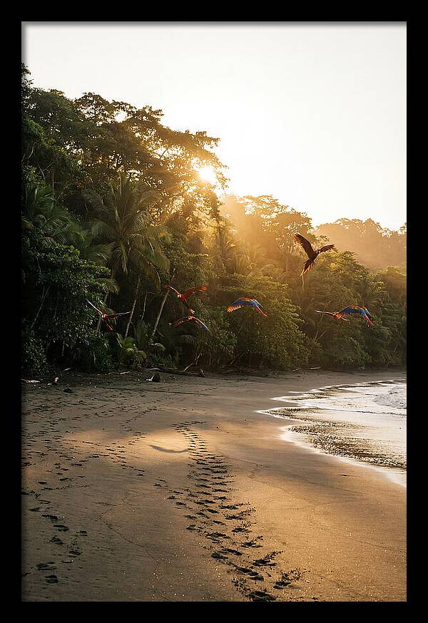 Corcovado National Park Serenity