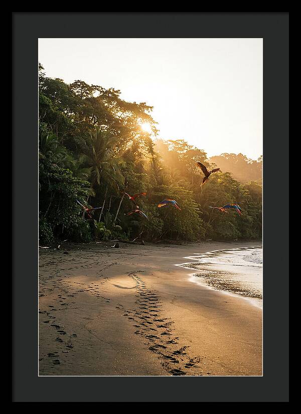 Corcovado National Park Serenity