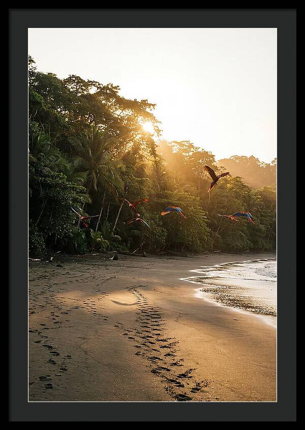 Corcovado National Park Serenity