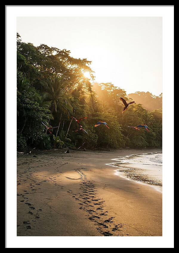 Corcovado National Park Serenity