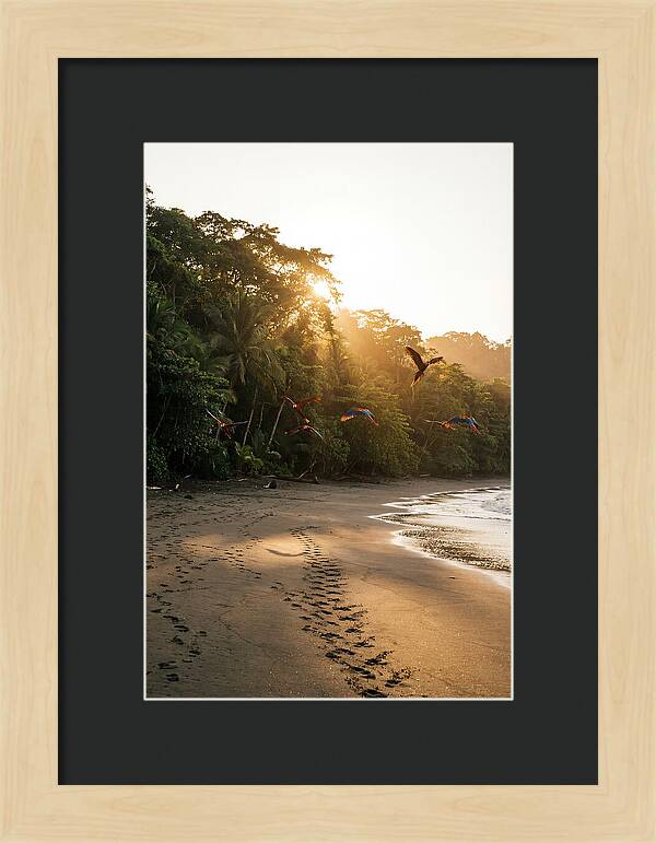 Corcovado National Park Serenity