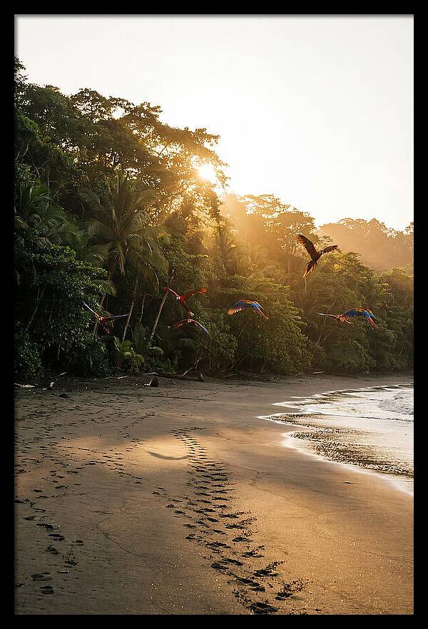 Corcovado National Park Serenity