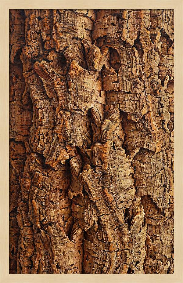 Cork Texture Close Up