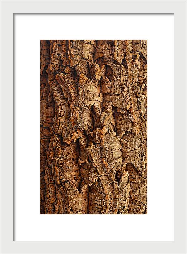 Cork Texture Close Up