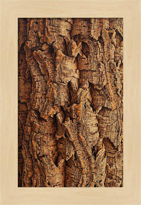 Cork Texture Close Up