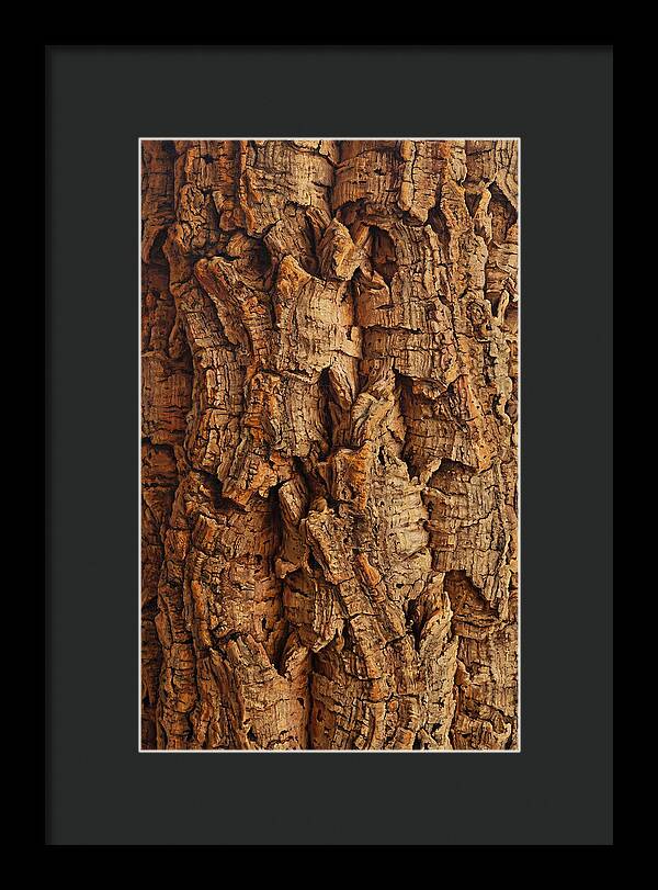 Cork Texture Close Up