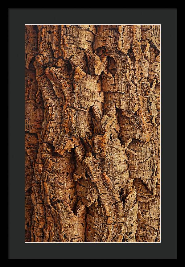 Cork Texture Close Up