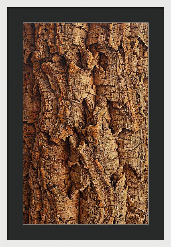 Cork Texture Close Up