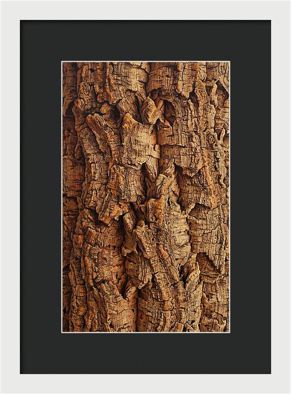Cork Texture Close Up