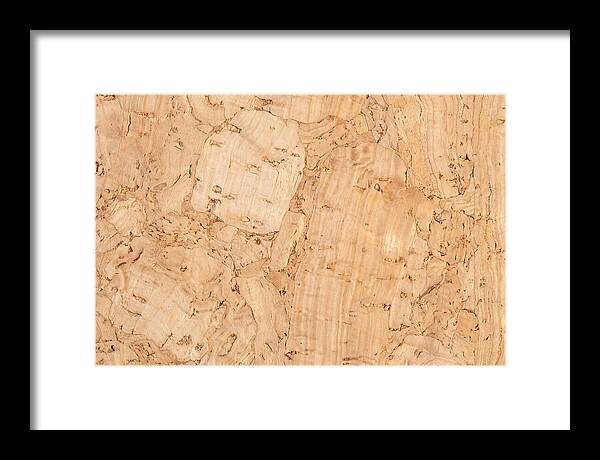 Cork Texture Close Up