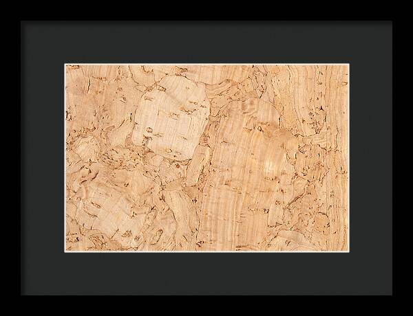 Cork Texture Close Up