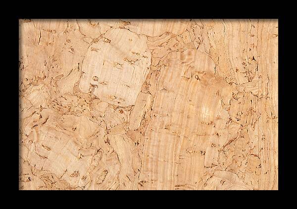 Cork Texture Close Up