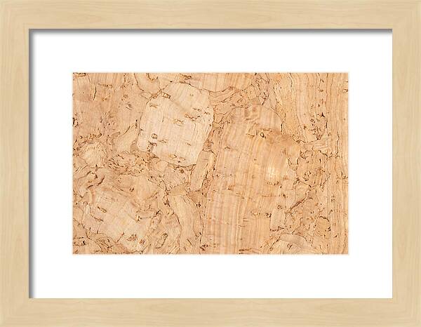 Cork Texture Close Up