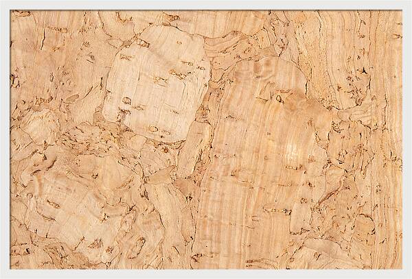 Cork Texture Close Up