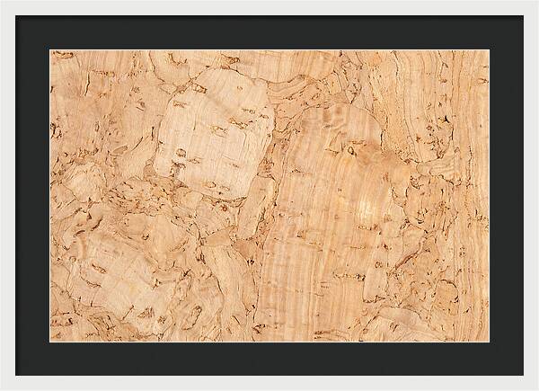 Cork Texture Close Up