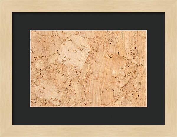 Cork Texture Close Up