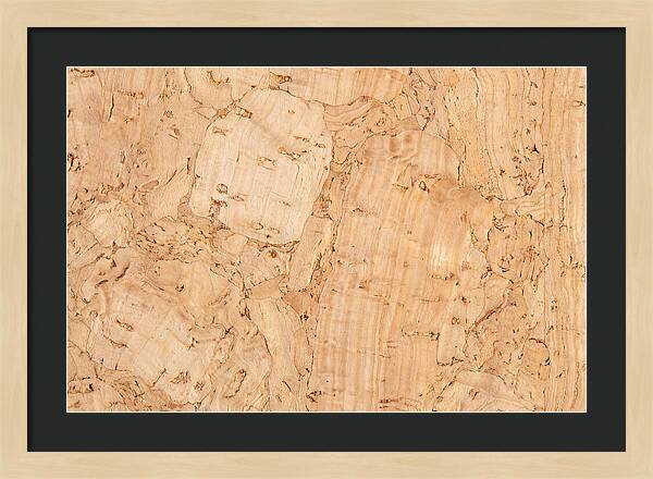 Cork Texture Close Up