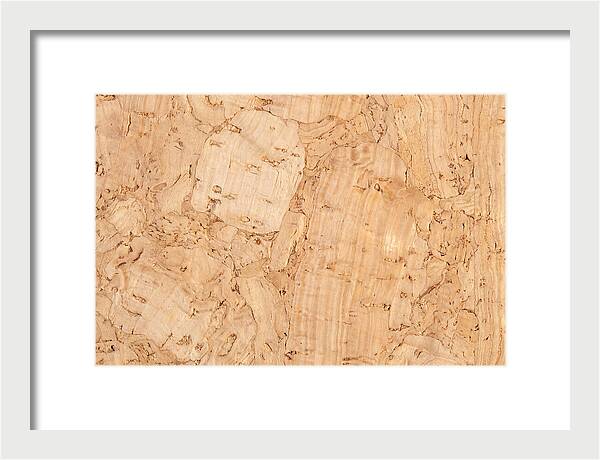 Cork Texture Close Up