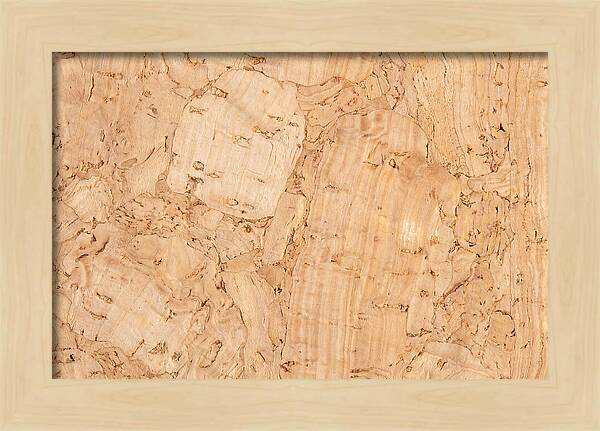 Cork Texture Close Up