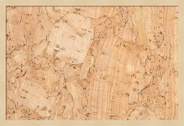 Cork Texture Close Up