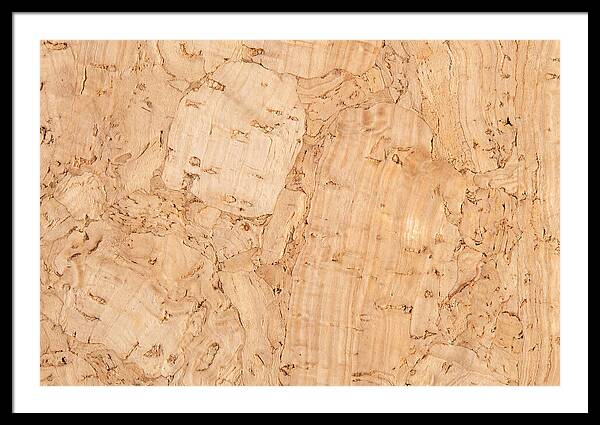 Cork Texture Close Up