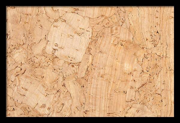 Cork Texture Close Up