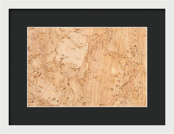 Cork Texture Close Up
