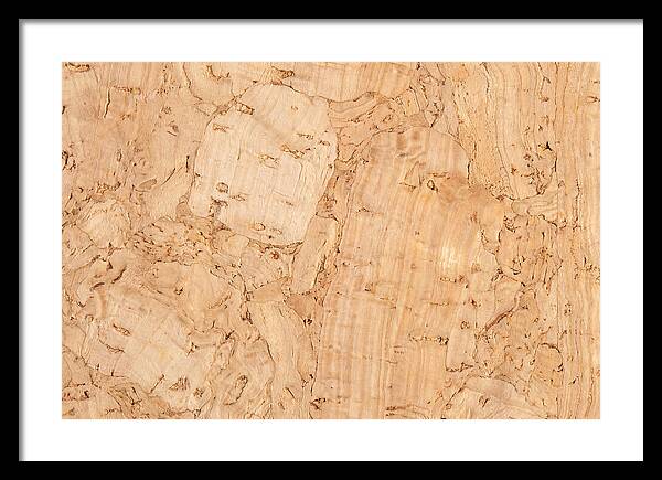 Cork Texture Close Up