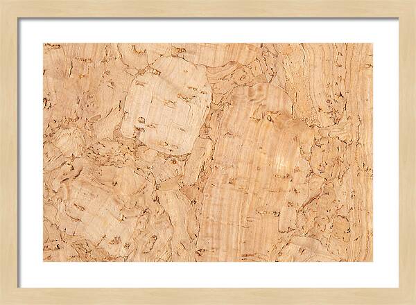 Cork Texture Close Up