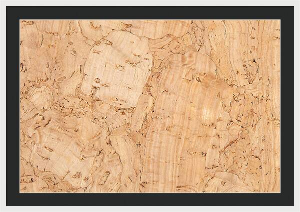 Cork Texture Close Up