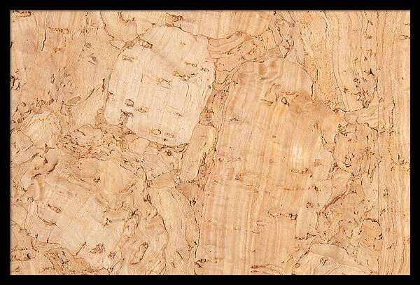 Cork Texture Close Up