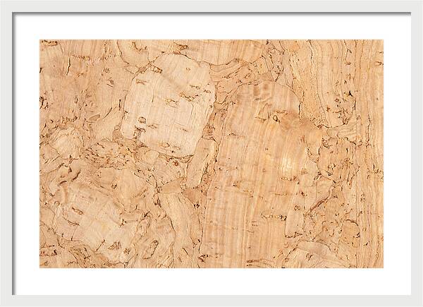 Cork Texture Close Up