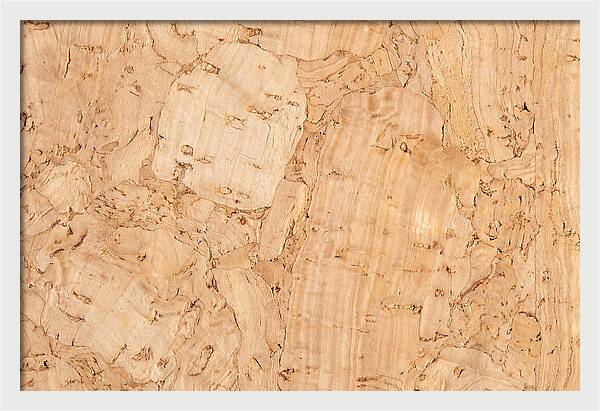 Cork Texture Close Up