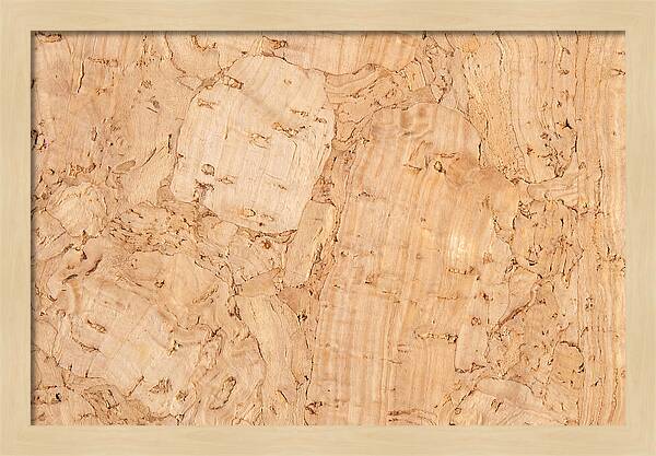 Cork Texture Close Up