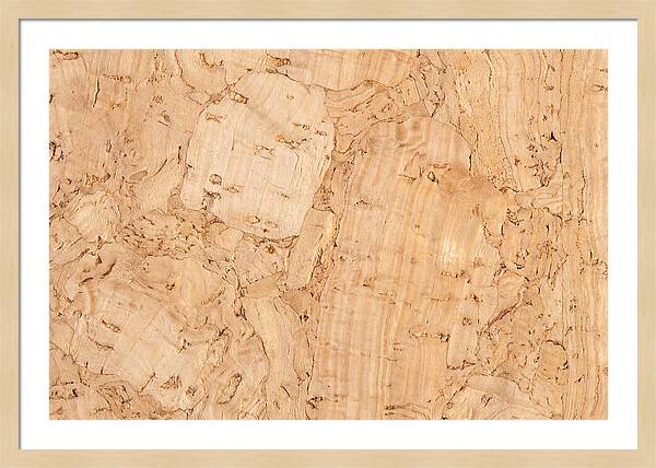 Cork Texture Close Up