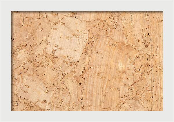 Cork Texture Close Up