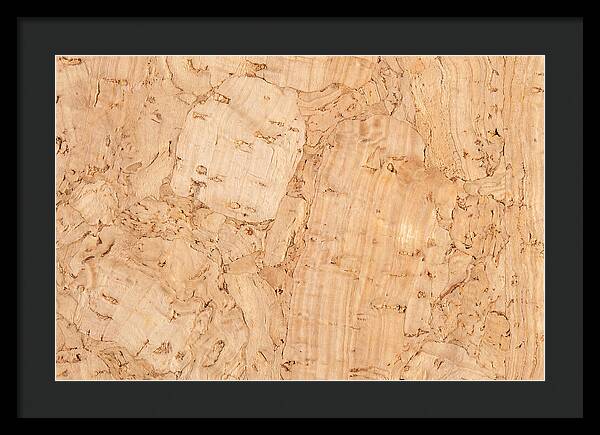 Cork Texture Close Up