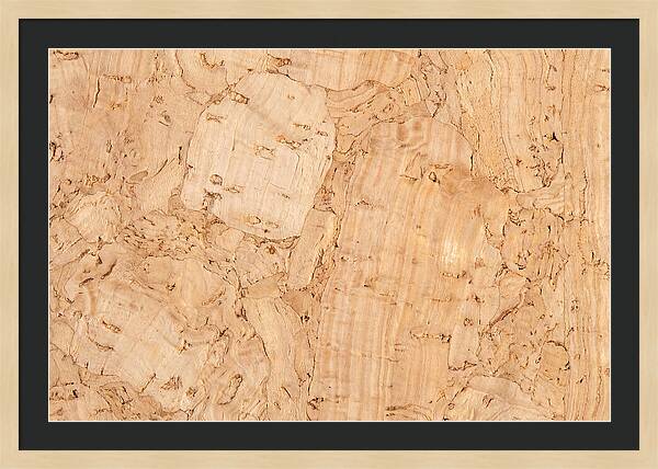 Cork Texture Close Up