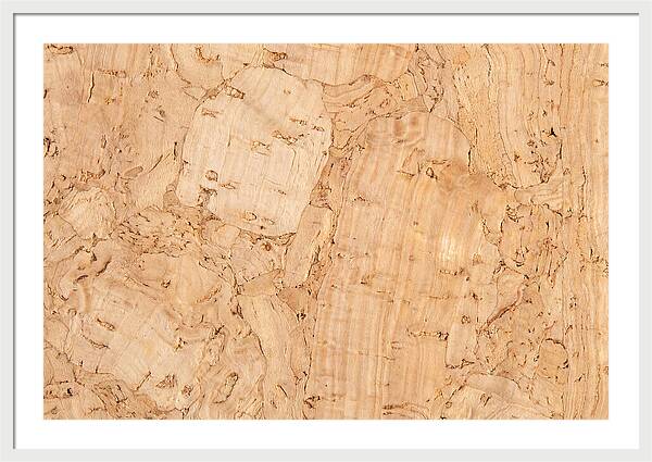 Cork Texture Close Up