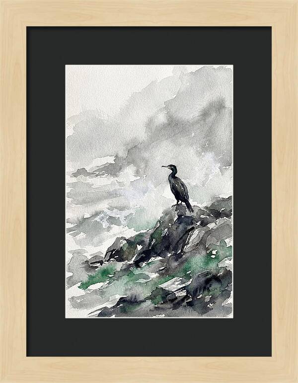 Cormorant By The Shore