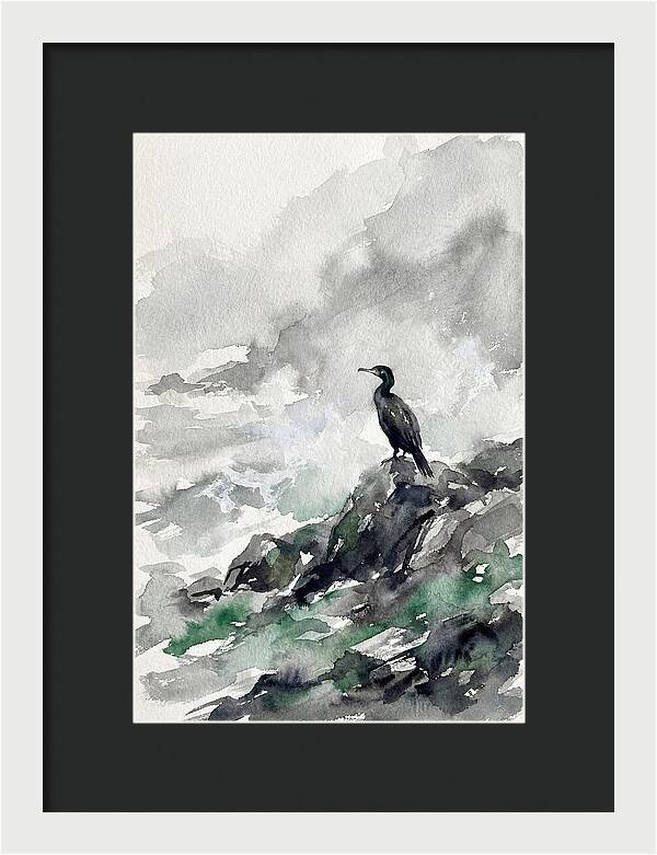 Cormorant By The Shore