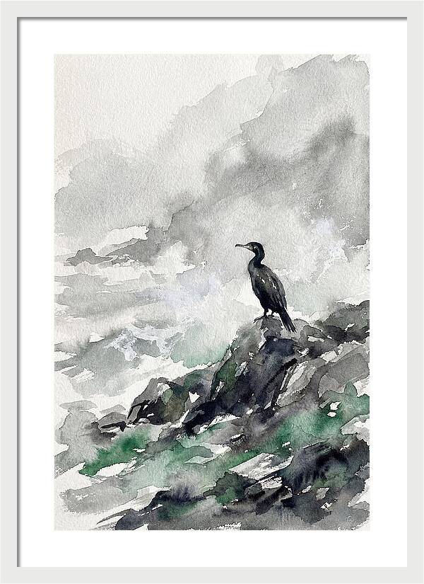 Cormorant By The Shore