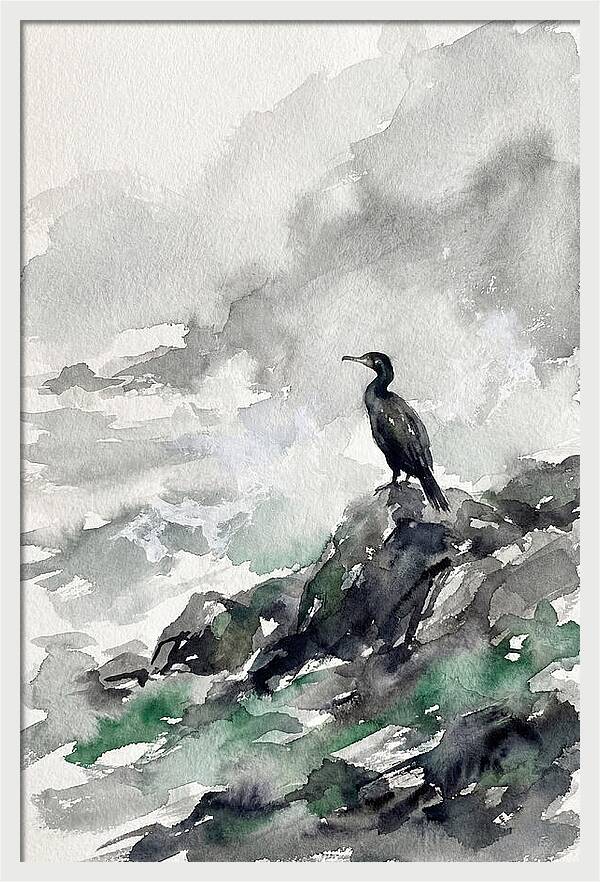 Cormorant By The Shore
