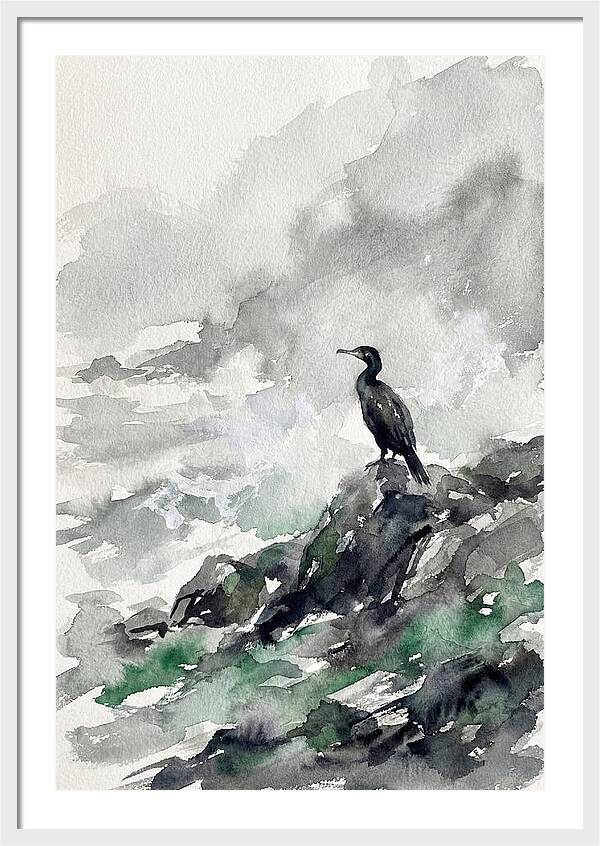 Cormorant By The Shore