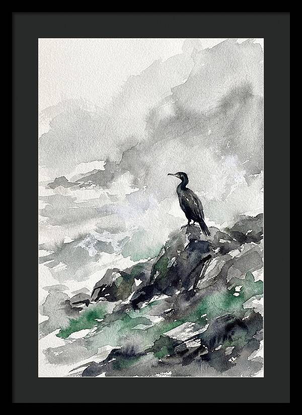 Cormorant By The Shore
