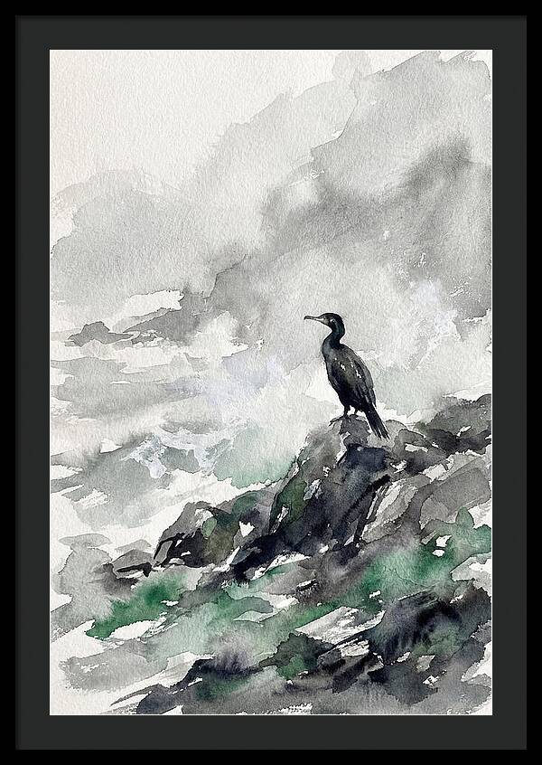 Cormorant By The Shore
