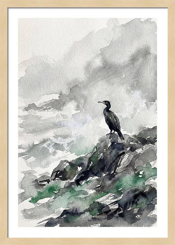 Cormorant By The Shore