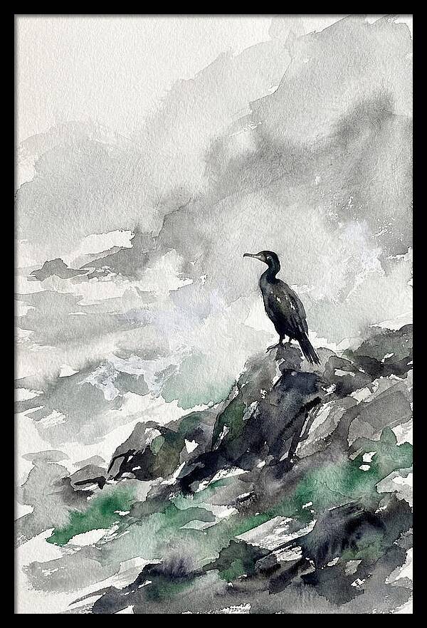 Cormorant By The Shore