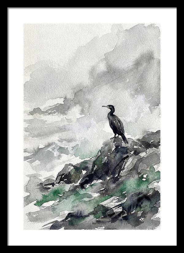 Cormorant By The Shore