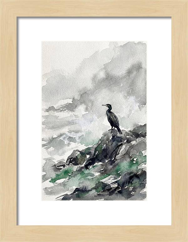 Cormorant By The Shore
